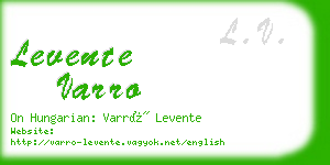 levente varro business card